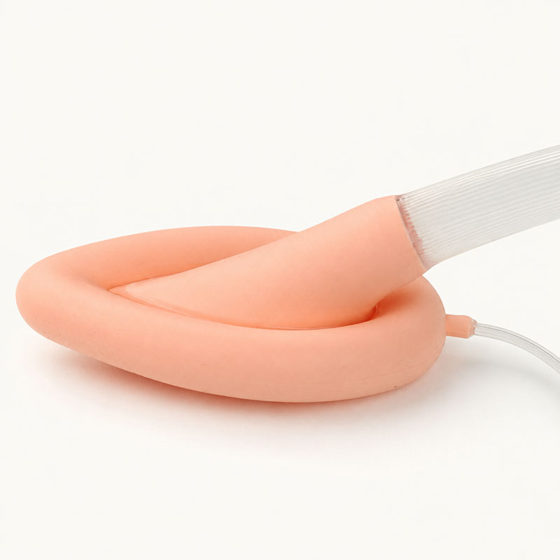 Laryngeal mask airway cuff and tube detail